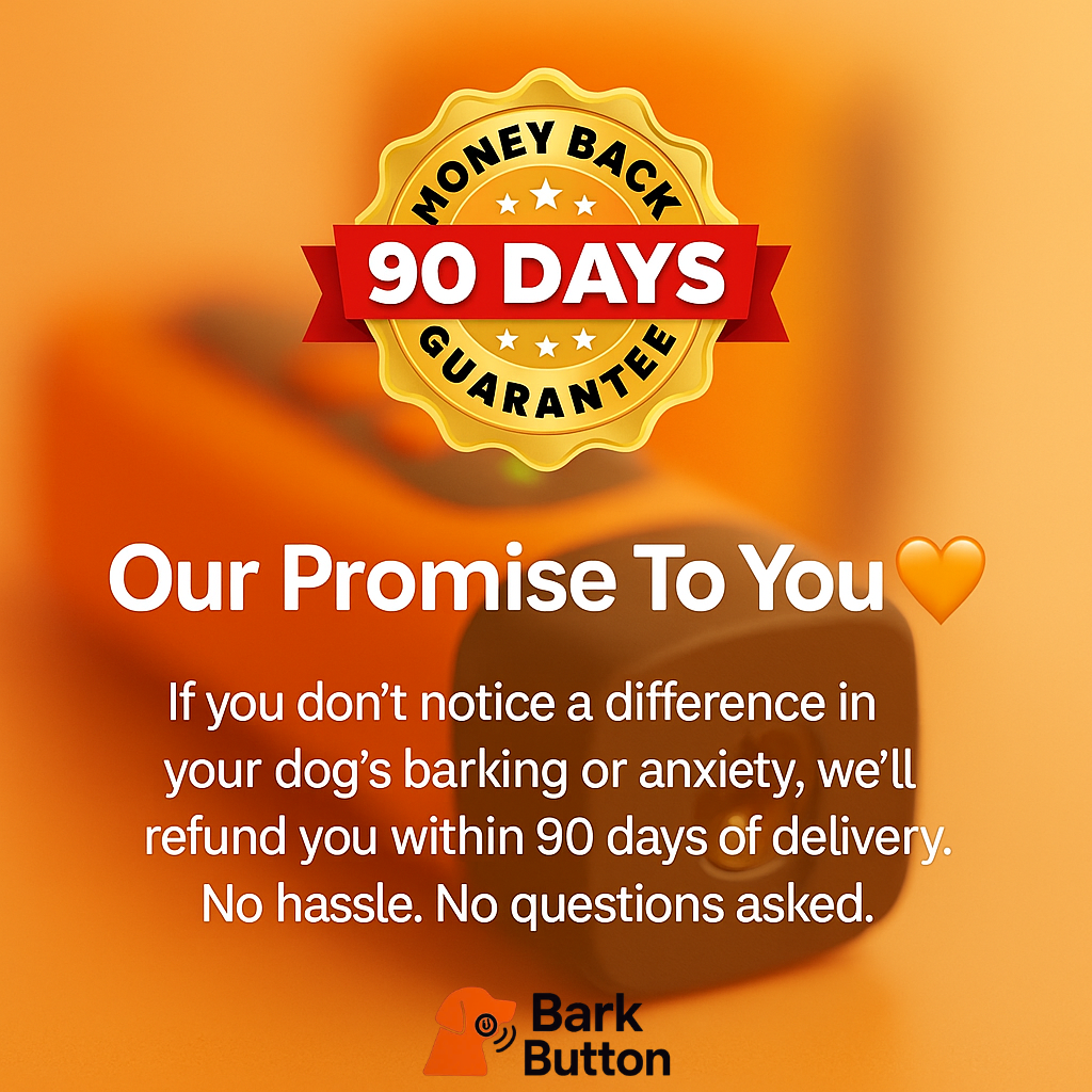 COPY FOR BARKBUTTON VIDS